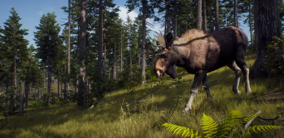 Way of the Hunter